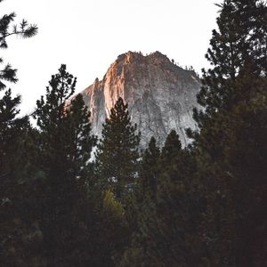 Meet your Posher, Kara